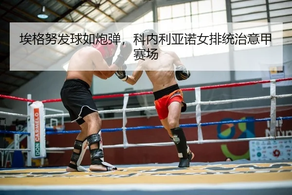 ai-ge-nu-fa-qiu-ru-pao-dan-ke-nei-li-ya-nuo-nv-pai-tong-zhi-yi-jia-sai-chang-2-856.jpg