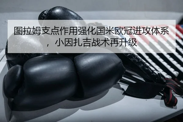 tu-la-mu-zhi-dian-zuo-yong-qiang-hua-guo-mi-ou-guan-jin-gong-ti-xi-xiao-yin-zha-ji-zhan-shu-zai-sheng-ji-2-360.jpg